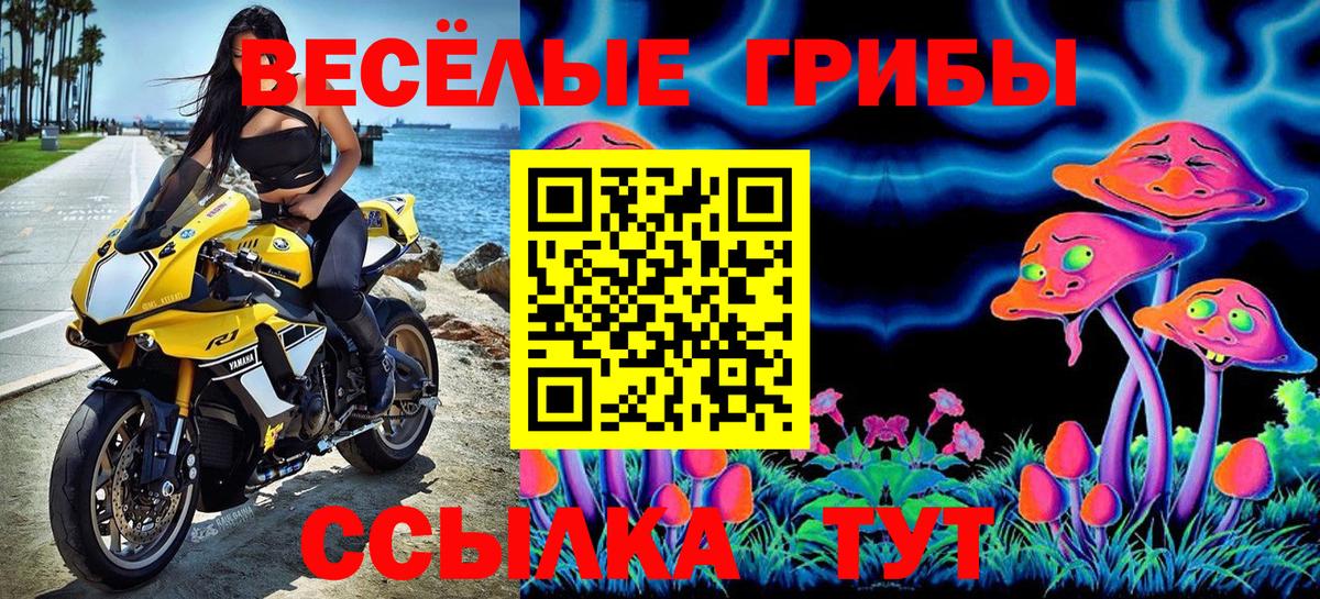 Галлюциногенные грибы Psilocybine cubensis Сосновый Бор