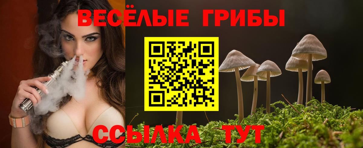 Сосновый Бор  Псилоцибиновые грибы MAGIC MUSHROOMS  Вход с VPN 